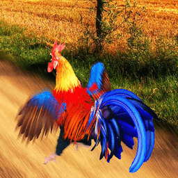 疯狂大跑酷游戏最新版本