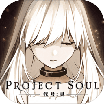 代号灵台服(暂未上线)