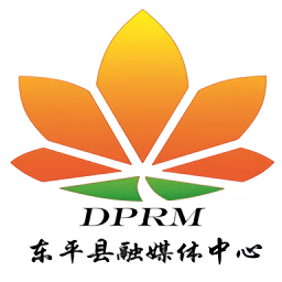 东平手机台最新官方版