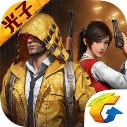 和平精英国际服游戏(game for peace)